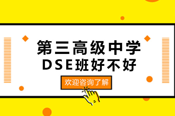 深圳第三高级中学DSE香港班好不好