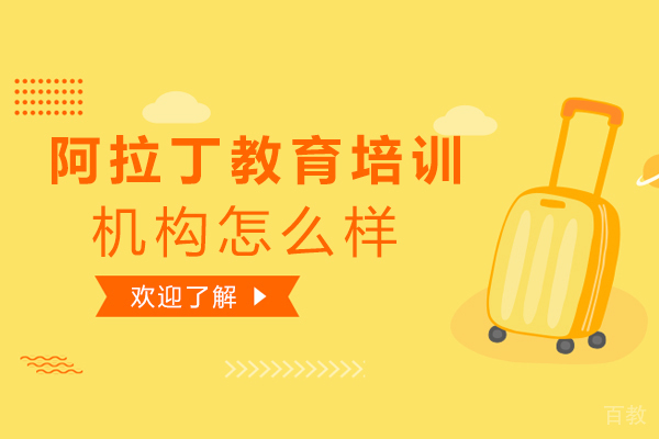 长春阿拉丁教育培训机构怎么样-阿拉丁教育有哪些优势 