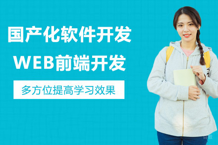天津国产化软件开发WEB前端开发
