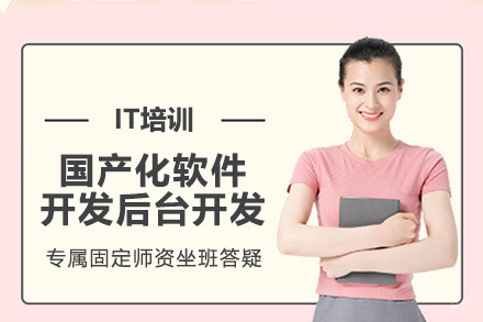 天津国产化软件开发后台开发
