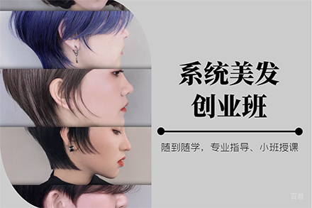 系统美发创业班