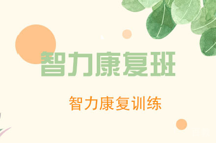 重庆儿童智力康复培训班