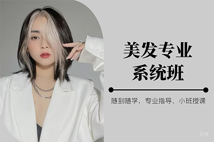 美发专业系统班