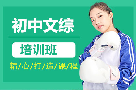 初中文综培训班