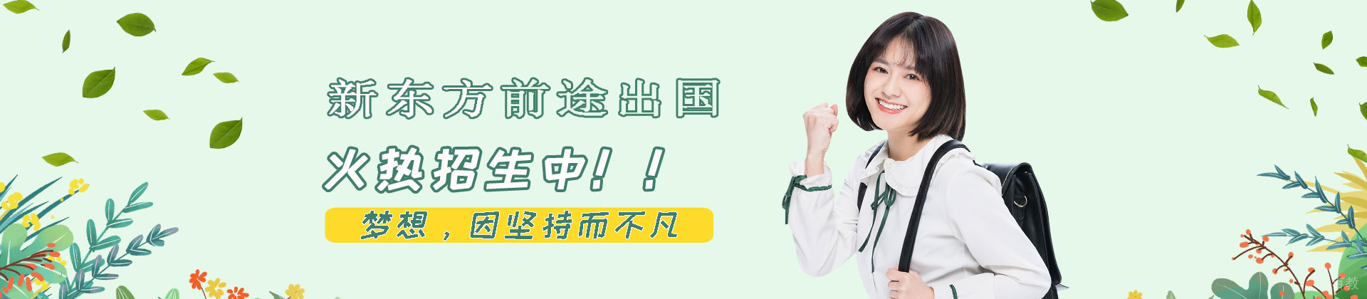 合肥新东方前途出国