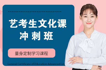 石家庄艺考生文化课冲刺班