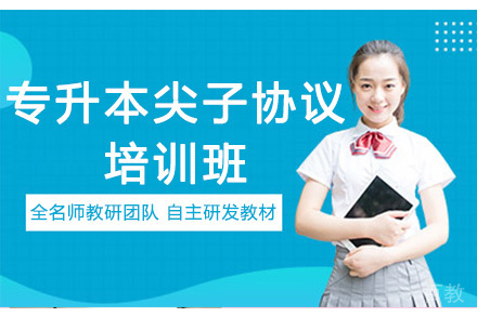 专升本尖子协议培训班