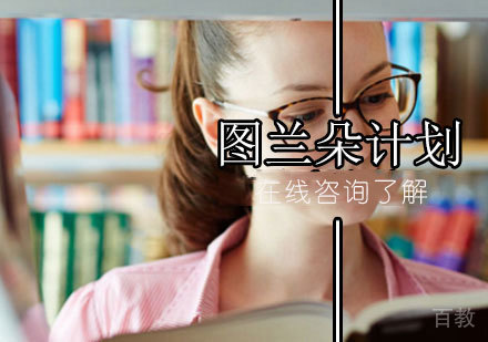 图兰朵计划