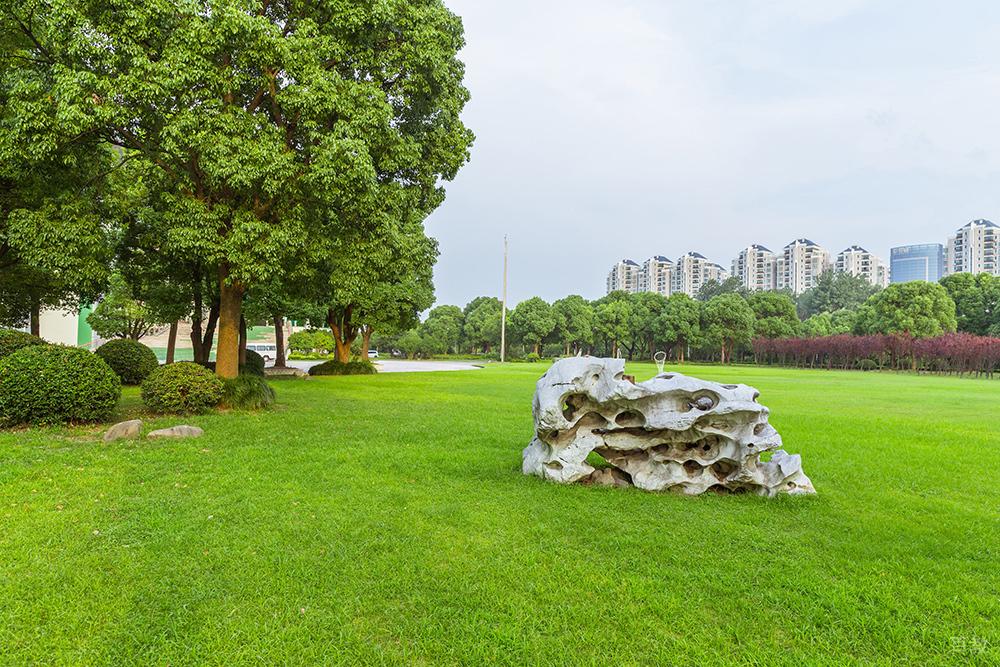 复旦大学绿化环境