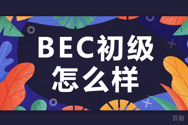 BEC初级怎么样 