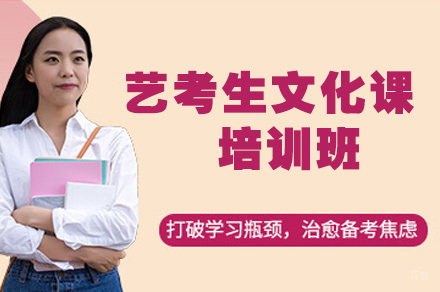 艺考生文化课培训班