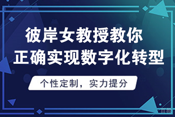 彼岸女教授教你正确实现数字化转型 