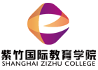 上海紫竹国际教育