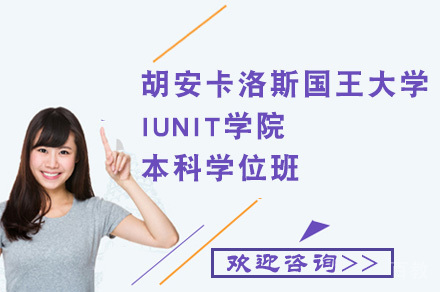 胡安卡洛斯国王大学IUNIT学院本科学位班