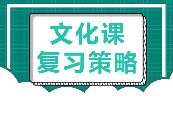 文化课复习策略 
