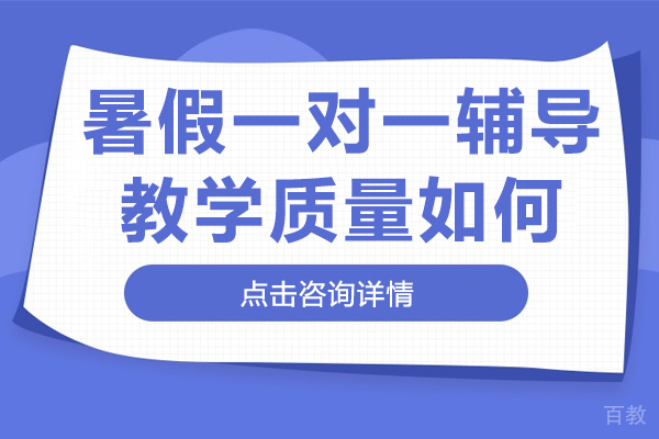 昂立智立方暑假一对一辅导教学质量如何 