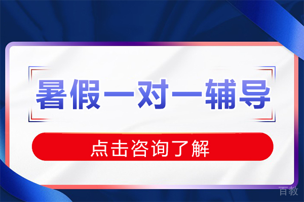 上海暑假一对一辅导昂立智立方怎么样 