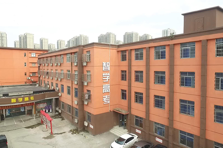 郑州新智学教育学校全景展示