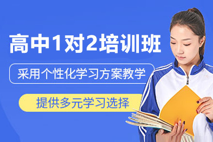 贵阳高中文化课1对2培训班