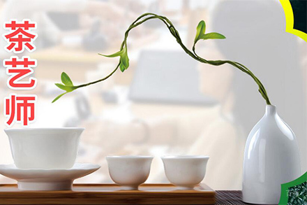 苏州茶艺师课程