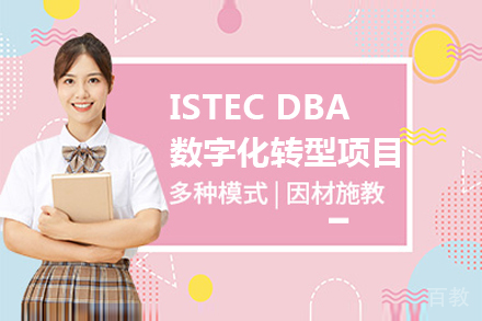 法国巴黎ISTEC DBA数字化转型项目