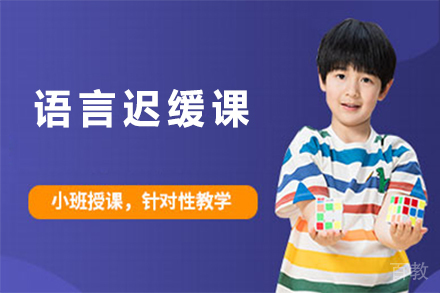 天津语言迟缓课