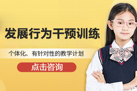 发展行为干预训练