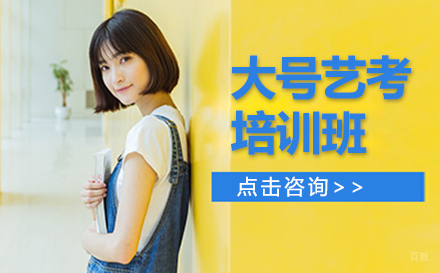 大号艺考培训班