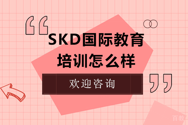 skd国际教育培训怎么样-培训优势有哪些