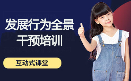 发展行为全景干预培训