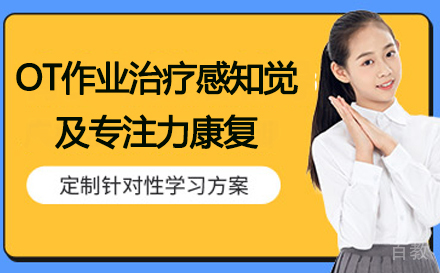 OT作业治疗感知觉及专注力康复培训