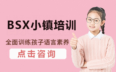 BSX小镇培训