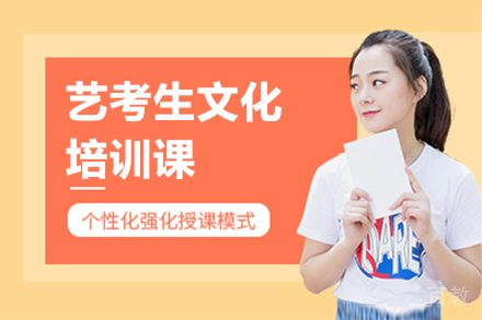 艺考生文化培训课