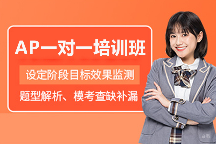AP一对一培训班