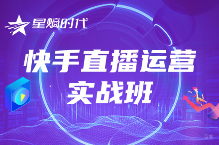 快手直插运营实战培训