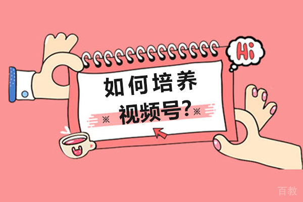 如何培养视频号？ 