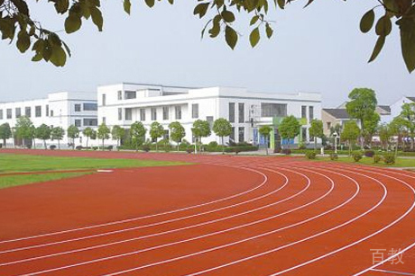大麦环宇国际竞赛操场相册