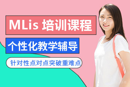 MLis培训班