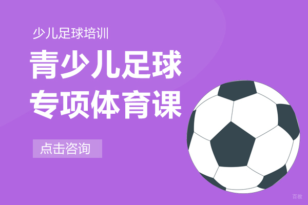 青少儿足球专项体育课