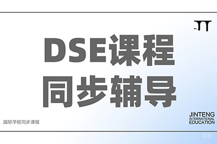 DSE培训课程