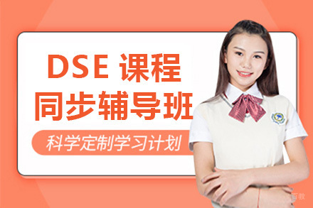 DSE课程同步辅导班