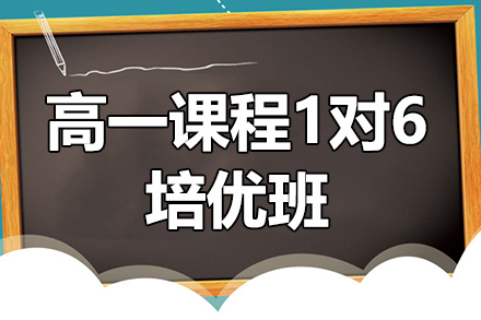 高一课程1对6培优班
