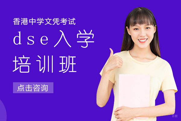 dse入学培训班