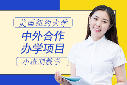 上海纽约大学中外合作办学项目