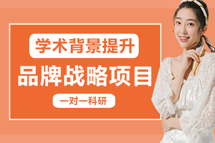 品牌战略项目