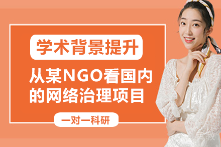 从舶来品到实践：从某NGO看国内的网络治理项目