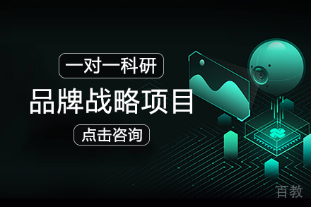品牌战略项目