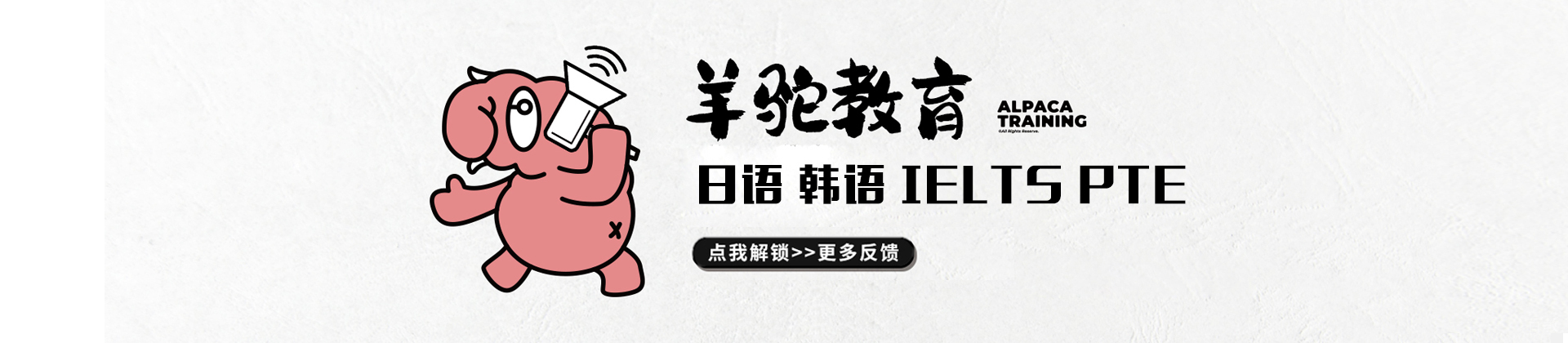 上海羊驼教育