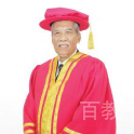 Tan Sri Dato' N