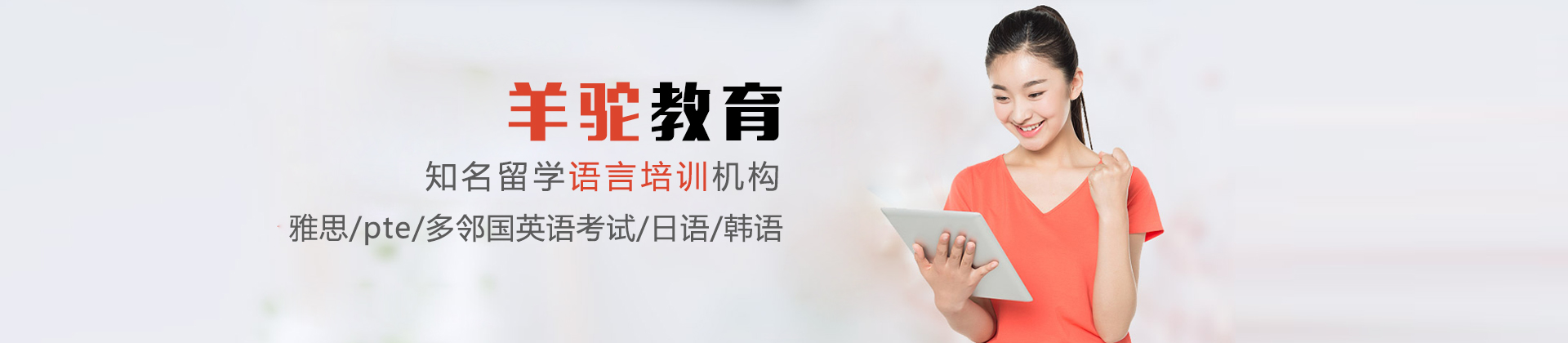 上海羊驼教育培训